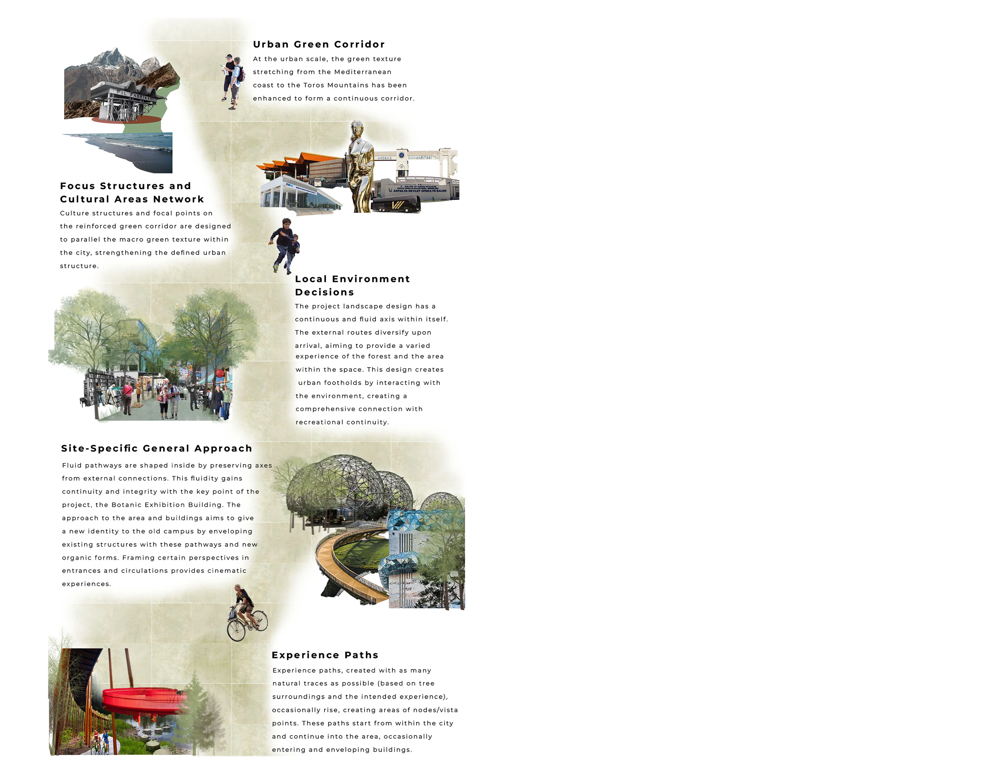 Conceptual approach and experience paths